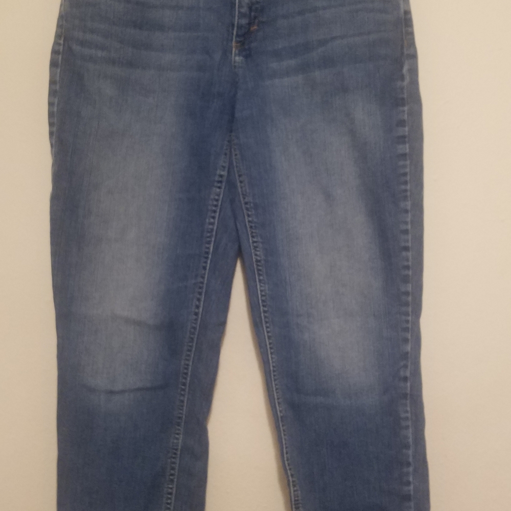 Banana Republic Women's Mid Blue Straight Leg Girlfriend Jeans